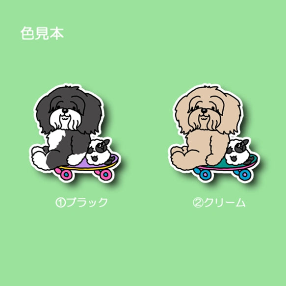 遊べるの待ってるチベタンテリアちゃん。56-2