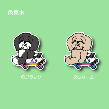 遊べるの待ってるチベタンテリアちゃん。56-2