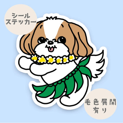 フラシーズーちゃん。35-20