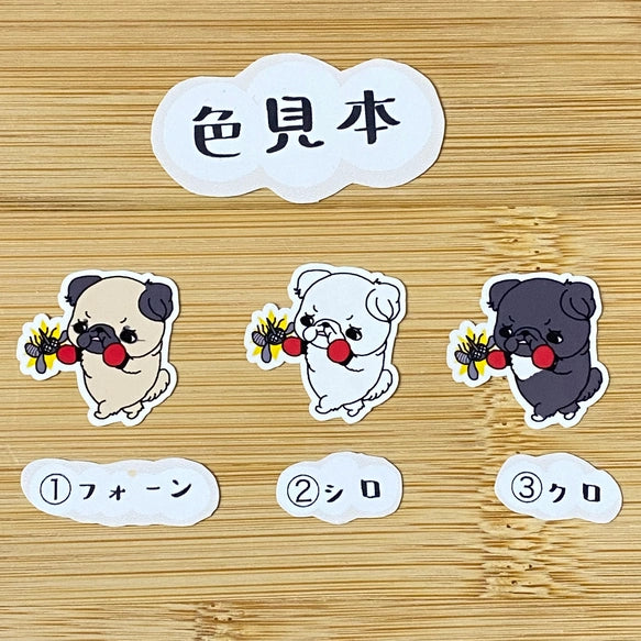 ペキニーズちゃんのフィラリア予防。97-