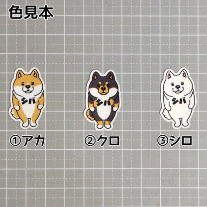 シバ。39-1