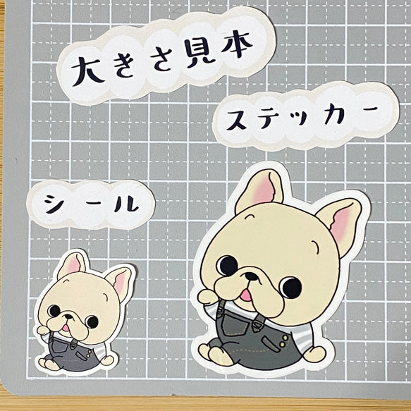 サロペットがかわいいフレブルちゃん。96−208