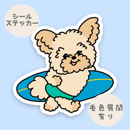 サーファーポメプーちゃん。103-