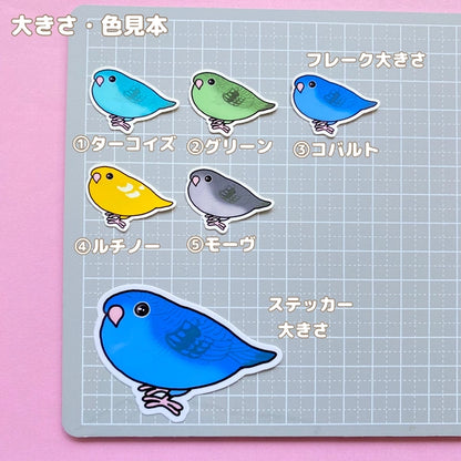 様子をうかがうサザナミインコちゃん。