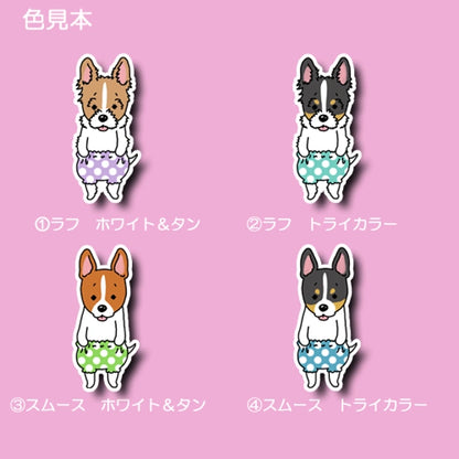 おパンツ立ち耳ジャックラッセルちゃん。43-11