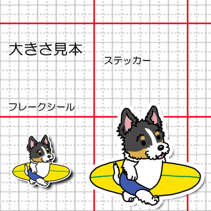 サーファー立ち耳ジャックラッセルちゃん。43-15
