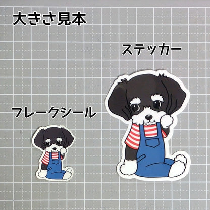 サロペットがかわいいシュナちゃん。44-4