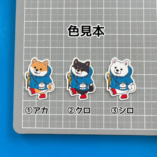晴れてほしいシバちゃん。39-3