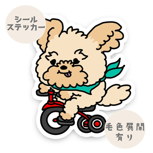 三輪車で走り続けるポメプーちゃん。103-