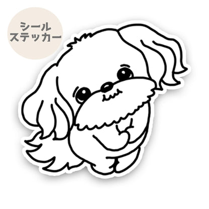 おりこうさんで待ってたマルチーズちゃん。109-