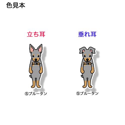 ミニピン。113-14