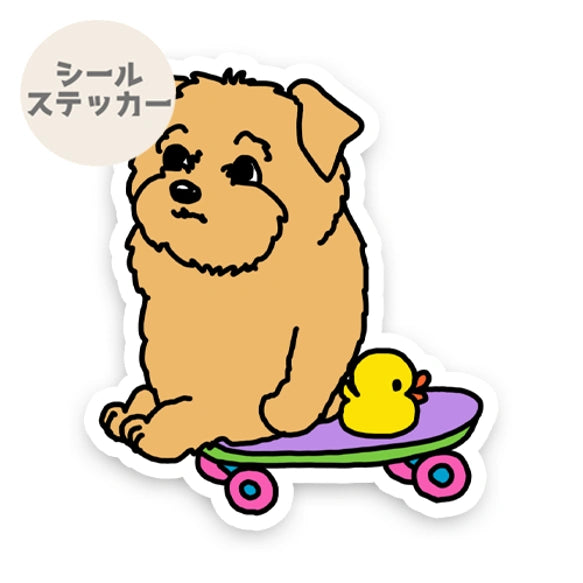 誰か来ないかなーって待ってるノーフォークテリアちゃん。73-