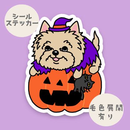 オバケカボチャとケアーンテリアちゃん。29-2