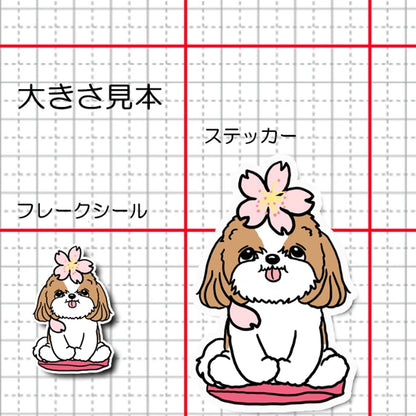 シーズーちゃんの春のご挨拶。35-17