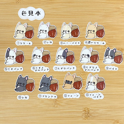 ドングリとフレブルちゃん。96−15