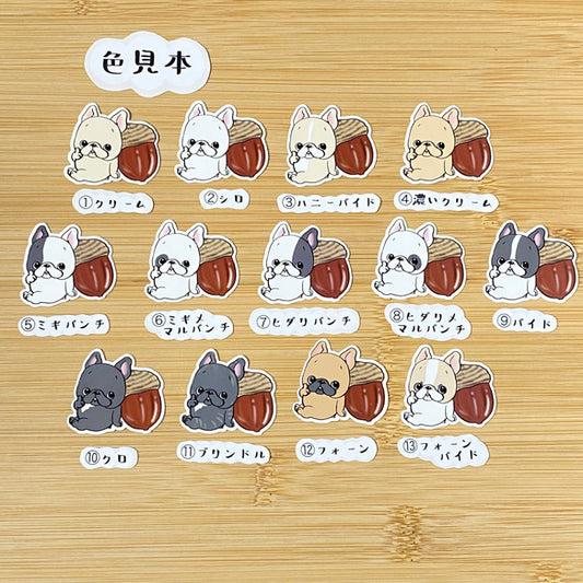 ドングリとフレブルちゃん。96−15