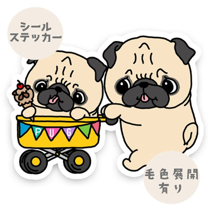 パグちゃんズのおさんぽ。76-