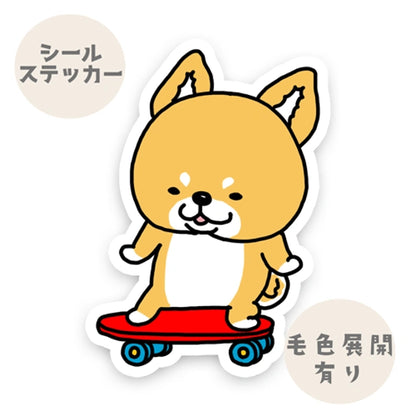 スケボーシバちゃん。39-8
