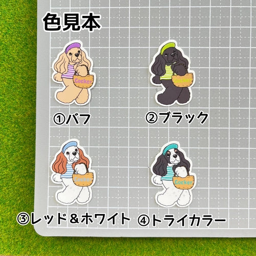 夏の日のお買い物のアメコカちゃん。5-20