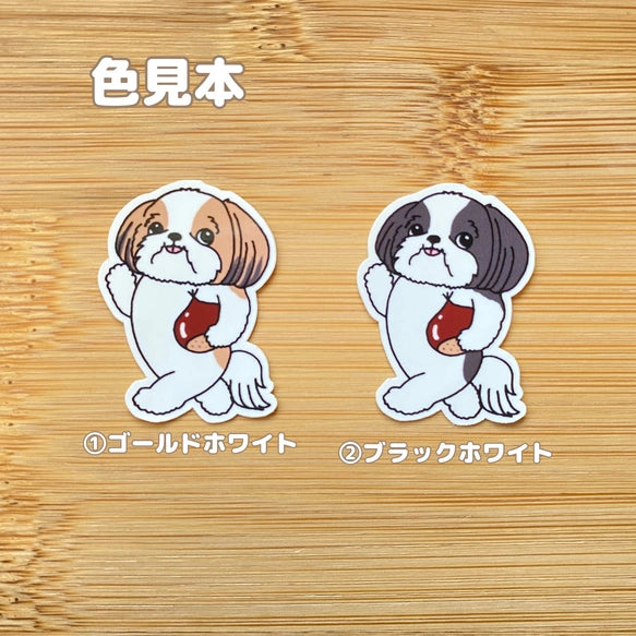 栗が好きなシーズーちゃん。35-18