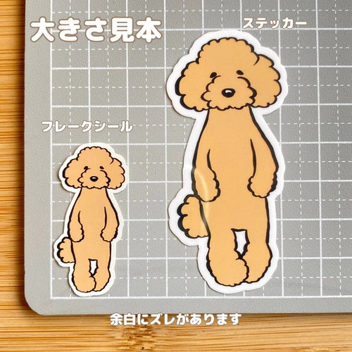 たたずむプードルちゃん。127-