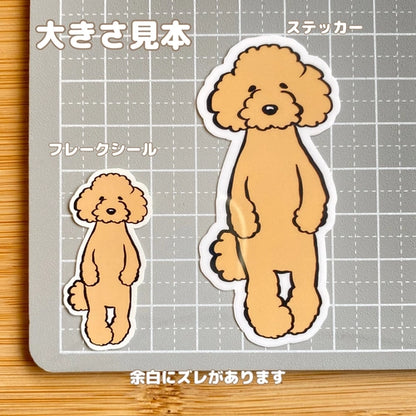 たたずむプードルちゃん。127-