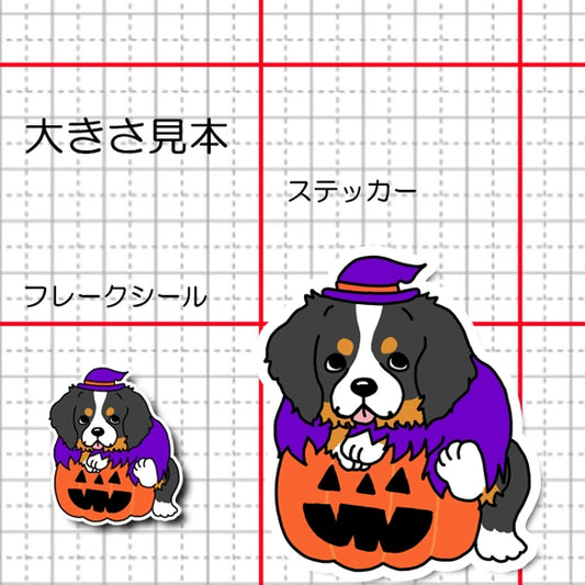 オバケカボチャとバーニーズちゃん。75-