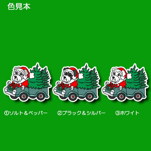 ツリーの配達中のシュナウザーちゃん。44-10