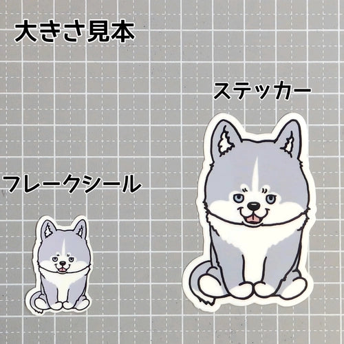 おすわりしてるハスキーさん。40-2