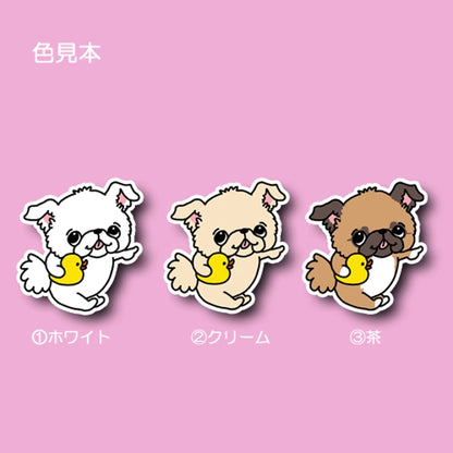 あっちで遊びたいチワペキちゃん。62-7