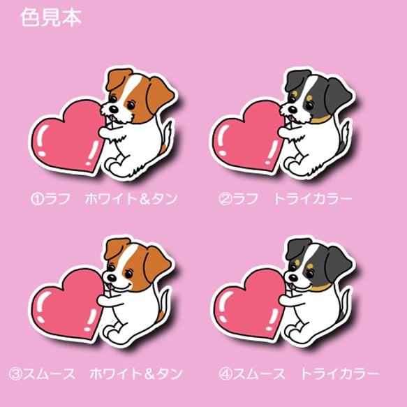 ハートを届けたいジャックラッセルちゃん。42-15