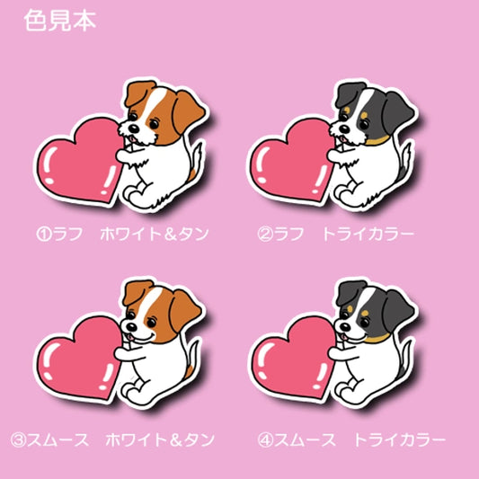 ハートを届けたいジャックラッセルちゃん。42-15