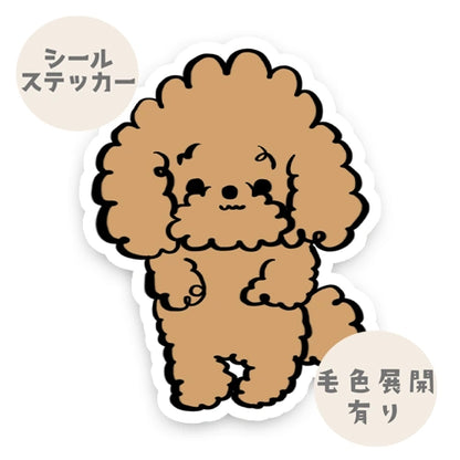 くるるんプードルちゃん。87-