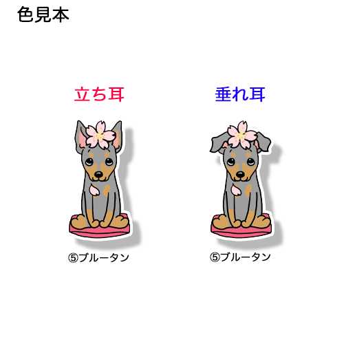 ミニピンちゃんの春のご挨拶。113-13