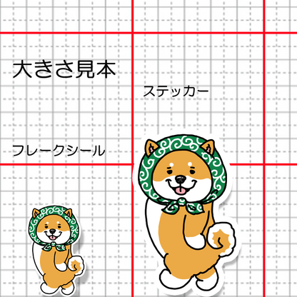 ほっかむりでお散歩シバちゃん。39-19