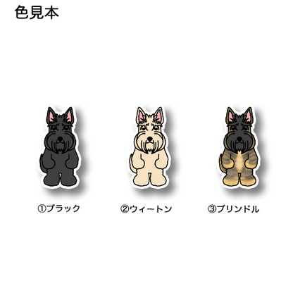 たたずむスコッティちゃん。46-2