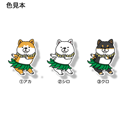 フラシバちゃん。39-27