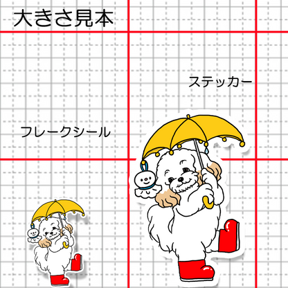 梅雨のお散歩のマルプーちゃん。111-17