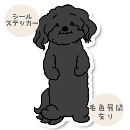 てくてくダップーちゃん。52-2