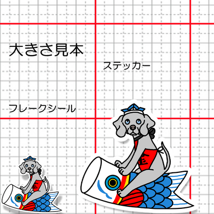 端午の節句のワイマラナーさん。123-3