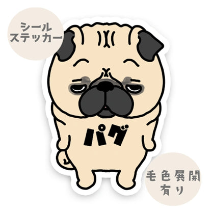 パグ。76-