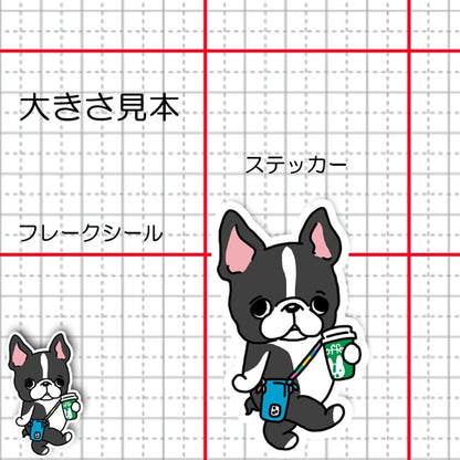 おでかけボストンテリアちゃん。101-