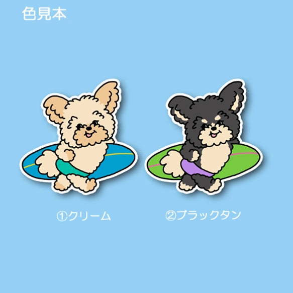 サーファーポメプーちゃん。103-