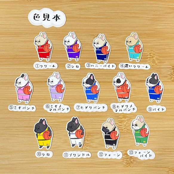バスケするフレブルちゃん。96−160