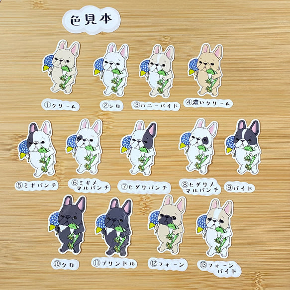 梅雨のお散歩フレブルちゃん。96−100