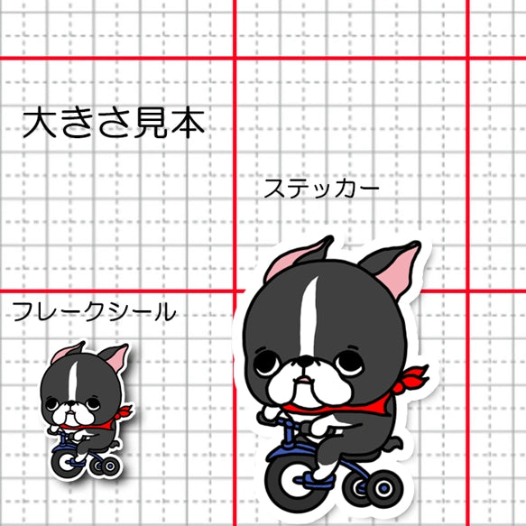 三輪車で走り続けるボストンテリアちゃん。101-