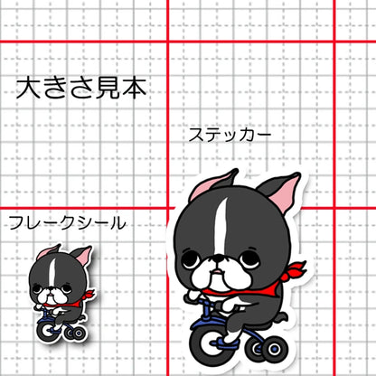 三輪車で走り続けるボストンテリアちゃん。101-