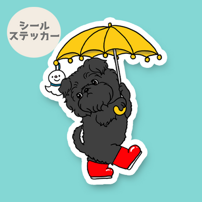 梅雨の散歩で出会ったアーフェンピンシャーちゃん。1-11
