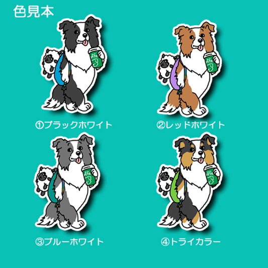 おでかけボーダーコリーちゃん。106-