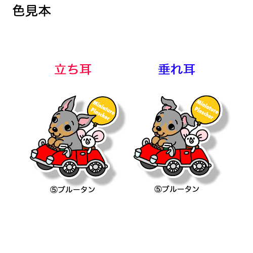 ミニピンちゃんの楽しいドライブ。113-5